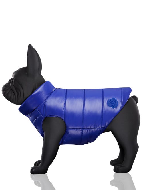 Moncler - Poldo Dog Couture Mondog Vest In Blue | ModeSens